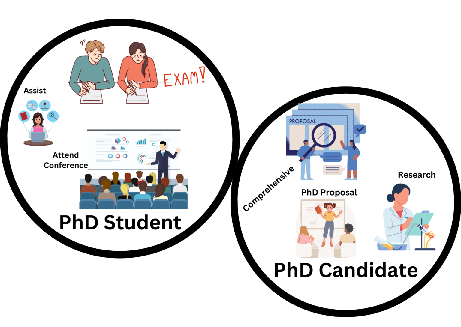 what is the difference between a phd candidate and student